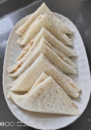 A picture of Tuna Sandwich.