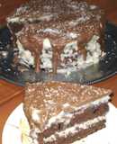 Bizcochuelo de chocolate y coco rallado
