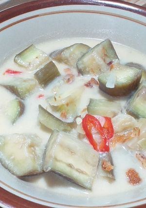 Foto resep 62. Sayur Terong Santan