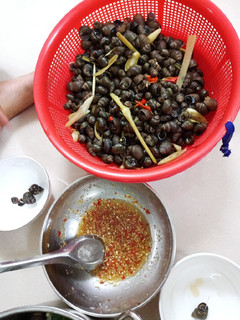 Hình của món Ốc đắng luộc sả ớt.