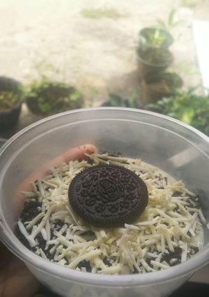 Foto resep Cheese cake oreo