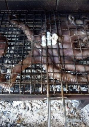 Φωτογραφία της συνταγής Χταπόδι 🐙 στα κάρβουνα !!