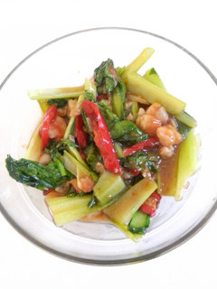 Foto resep Tumis pakchoy udang