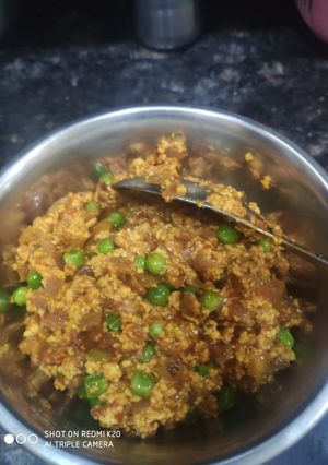 A picture of Paneer bhujia (home made paneer).