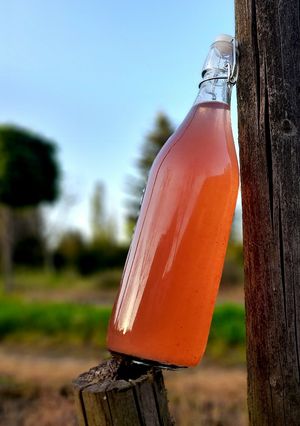 Une photo de Sirop queues de fraises