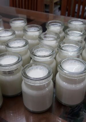 Hình của món Tự làm sữa chua phô mai ngon bổ cho cả nhà.