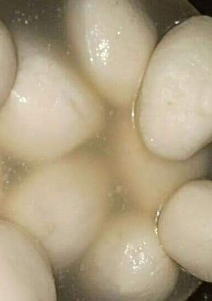 A picture of Rasgulle.