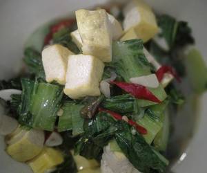 Praktis Memasak Tumis PAKCOY TAHU Enak Bergizi