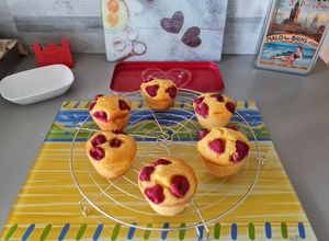 Une photo de Muffin Danette vanille avec au choix fruits ou pépites