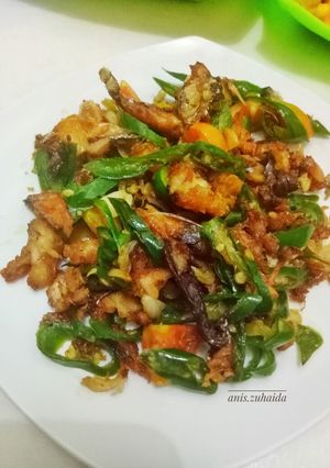 Foto resep Tongkol Tumis Lombok Ijo
