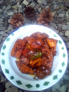 Foto resep Tahu tempe kecap simpel
