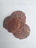 Galletitas de Avena y Chocolate con Premezcla Casera