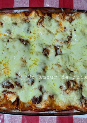 Une photo de Lasagnes 🍽