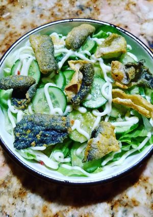 Hình của món 🥒🥗 Salad da cá sấy giòn 💚.