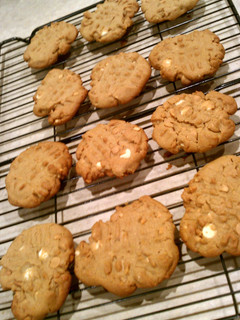 A picture of peanut butter chip peanut butter cookies.