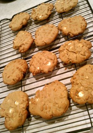 A picture of peanut butter chip peanut butter cookies.