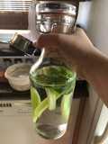 Mint cucumber water