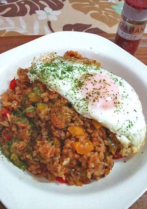 A picture of Mexican-Style Fried Rice with Chili Powder.