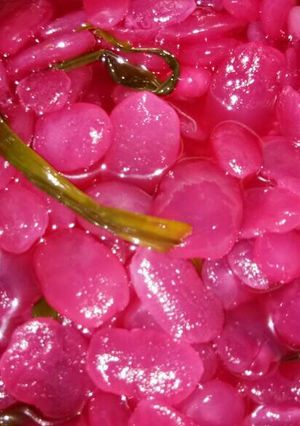 Foto resep Manisan kolang kaling