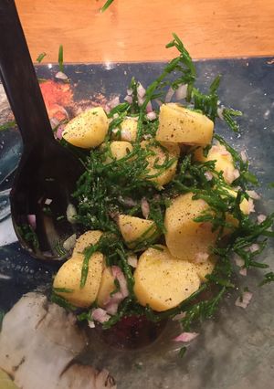 Une photo de Salade de pommes de terre au Salicorne