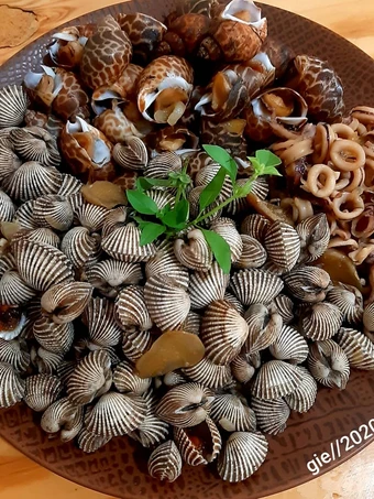 Cara Gampang Membuat Resep Kerang Keong Macan Cumi Saos Tiram yang Uenak Anti Ribet, Bikin Ngiler