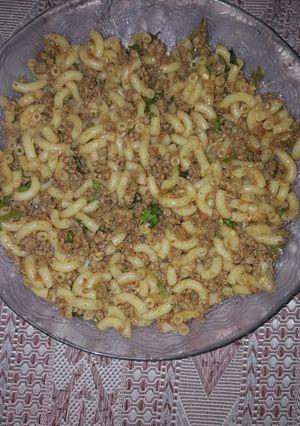 A picture of Qeema microni.