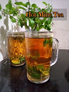 Foto resep Hot Mint Tea
