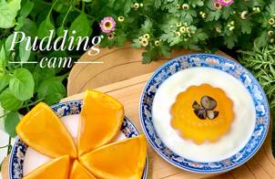 Ăn dặm- pudding cam, thạch cam mix sữa chua
