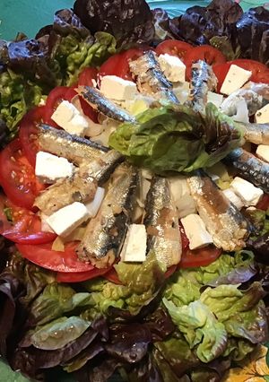 Une photo de Salade de chêne rouge aux tomates, endives, sardines et feta