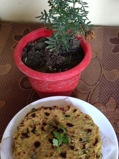 मूली का पराठा (mooli ka paratha recipe in Hindi) रेसिपी मुख्य फोटो