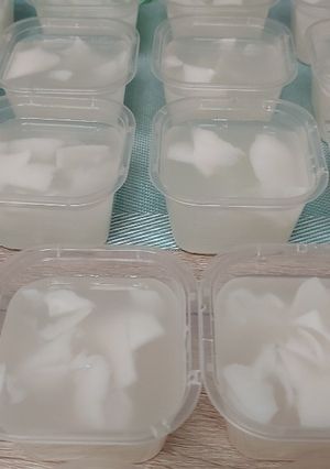 Foto resep Coconut Puding Kelapa Muda