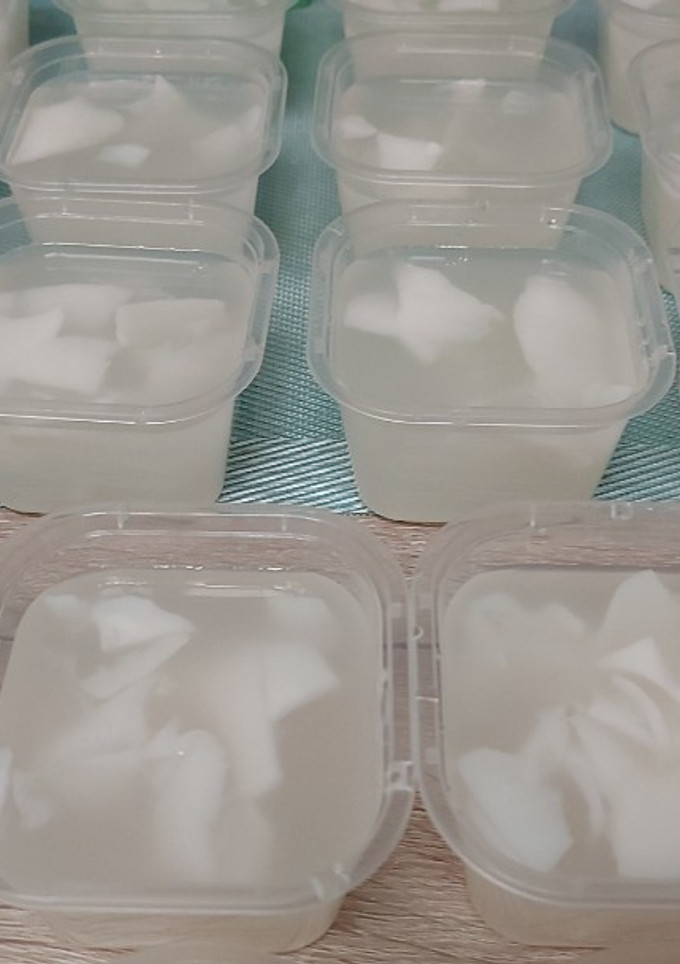 Foto resep Coconut Puding Kelapa Muda