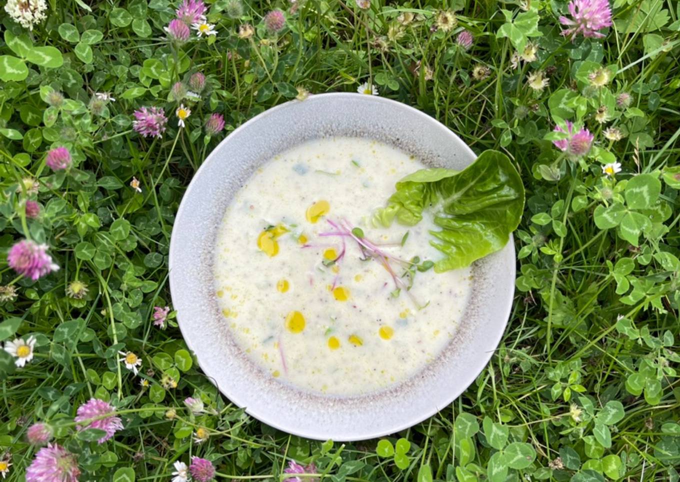 Chilled Almond, garlic and Chia Soup 🌱