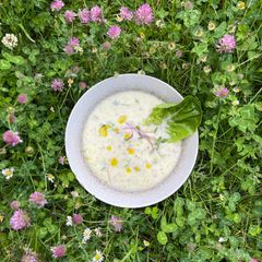 A picture of Chilled Almond, garlic and Chia Soup 🌱.