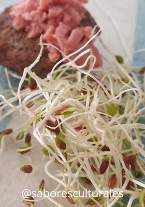 Una foto de 🌱👩🏻‍🌾 Germinados en casa de Chía y lino