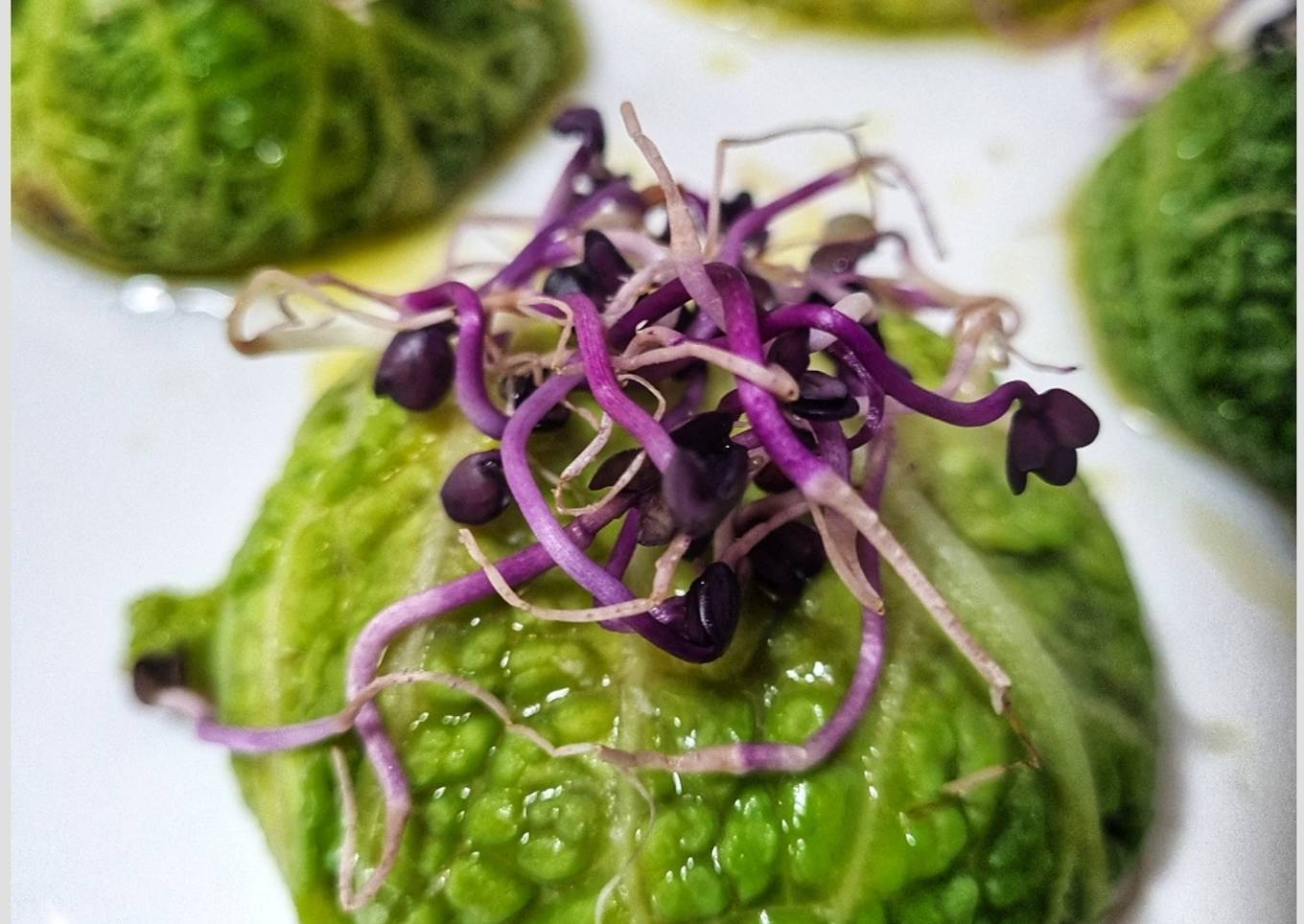 Hojas de col rellenas con crema de setas