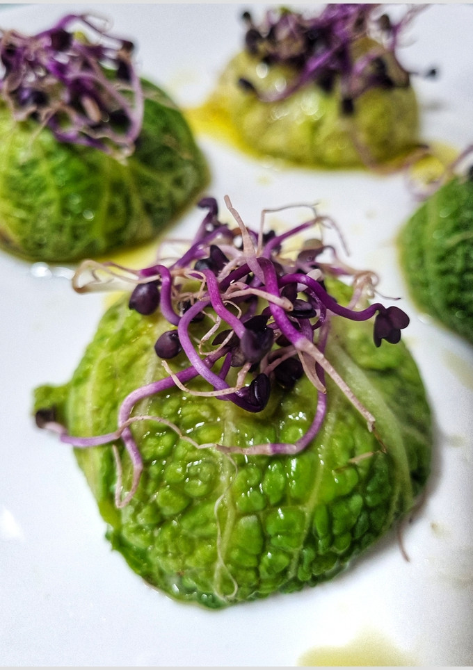 Una foto de Hojas de col rellenas con crema de setas