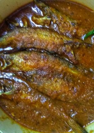 A picture of Pabda fish curry.