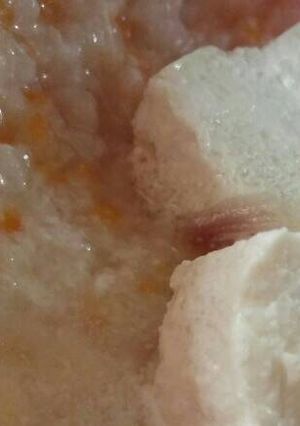 Foto resep MPASI junastel + tahu kuah santan / 11m