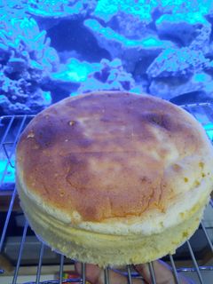 Foto resep Japanese cheese cake
