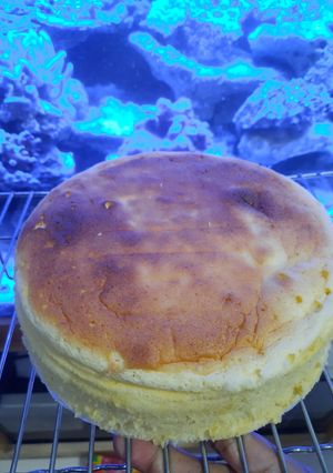 Foto resep Japanese cheese cake