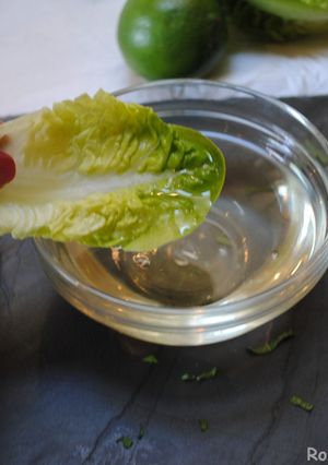 A picture of Sweet/sour mint syrup (Sekanjabin).