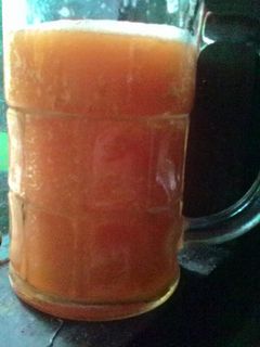 Foto resep Pepaya nipis