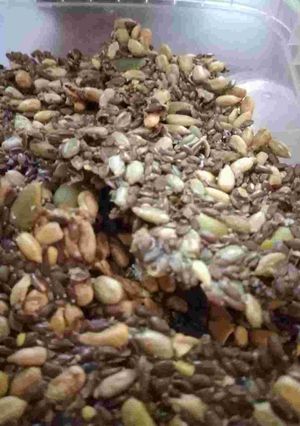 عکسی از دستور کراکر تخم کتان
