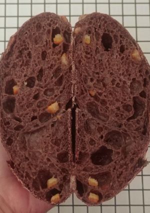 Foto resep Orange Peel Choco Sourdough Bread 82% (Open Bake Method)