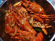 Gambar lobster kukus