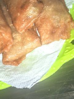 A picture of Spring rolls.