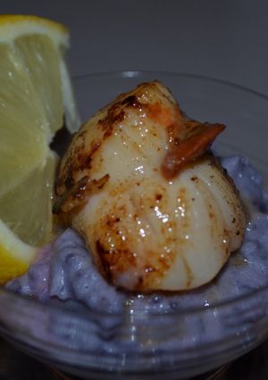 Une photo de Noix de St Jacques sur écrasée de vitelote
