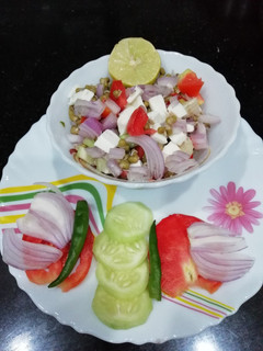 A picture of Paneer Sprout Salad.