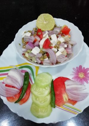 A picture of Paneer Sprout Salad.